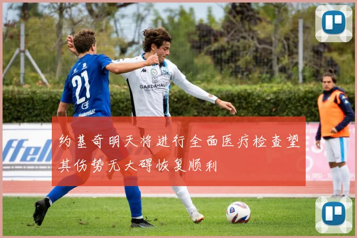 约基奇明天将进行全面医疗检查望其伤势无大碍恢复顺利