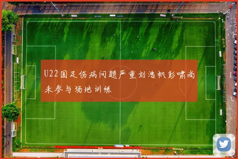 U22国足伤病问题严重刘浩帆彭啸尚未参与场地训练